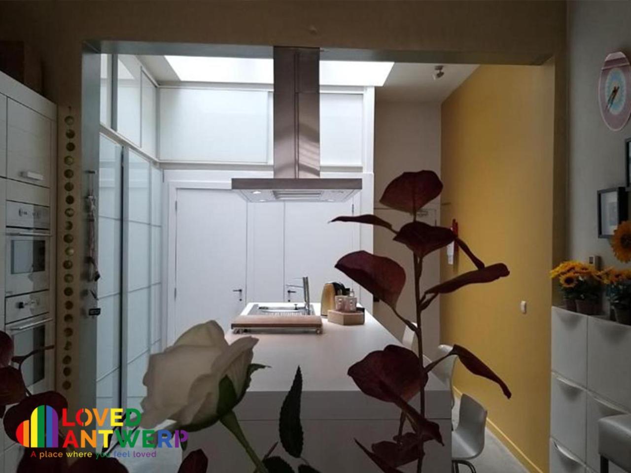 Apartmán Wellness Loft With Sauna, Jacuzzi, Roof Terrace & Amazing View Antverpy Exteriér fotografie